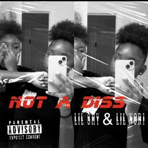 NOT A DISS