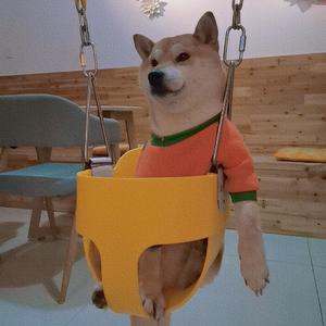 いのちの名前（cover：平野绫香）