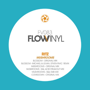 Blossom (Michael & Levan, Stiven Rivic Remix)