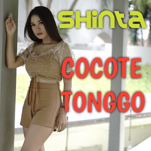 Cocote Tonggo