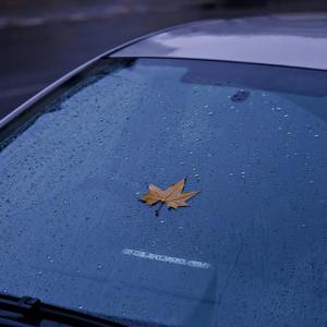 【Free】雨中往事