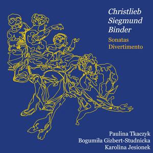 Sonata No. 5 in E Minor, Allegro (feat. Bogumiła Gizbert-Studnicka)