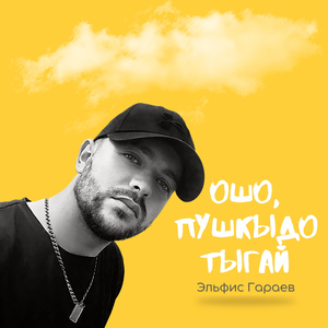 Osho, pushkydo tygai