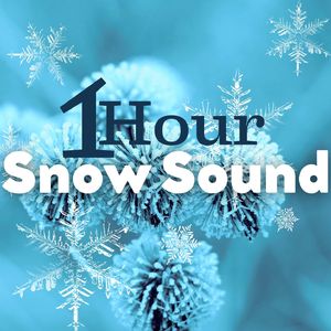 Snow Sound: 1 Hour of Arctic White Noise for Cozy Winter