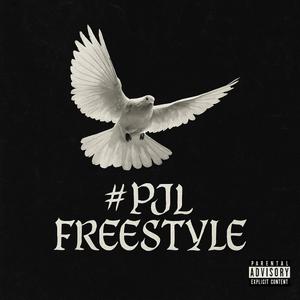 #PJL FREESTYLE