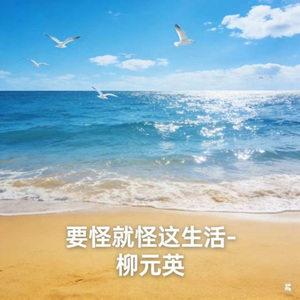 要怪就怪这生活 (烟嗓版)