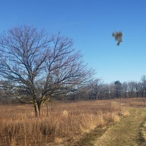 something for me u can skip this one too