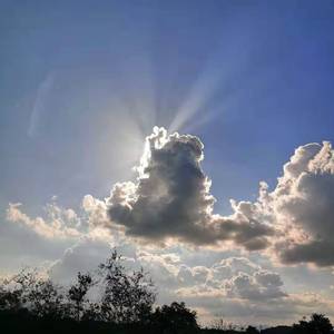 Wolves(Cover:Selena Gomez)