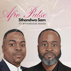 Sthandwasam (feat. Mthokozisi Ndaba) (Radio Edit)