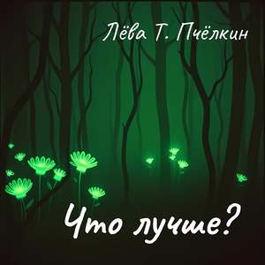 Что лучше?