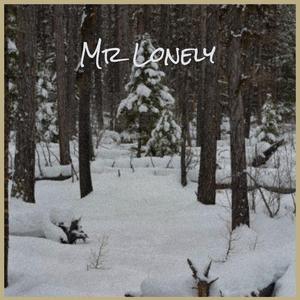 Mr Lonely