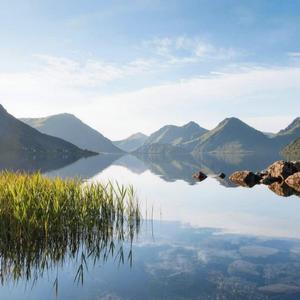 茉莉花（男声r&b)