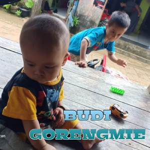 DJ BUDI GORENGMIE (INS)