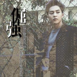 『Posion_』-XIUMIN<倔强>（翻自 曾沛慈）