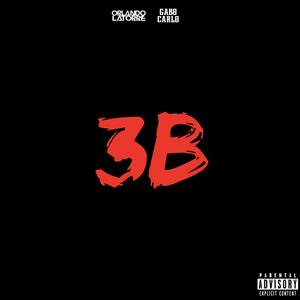 3B