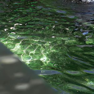 老照片褪色的速度