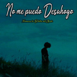 No Me Puedo Desahogar