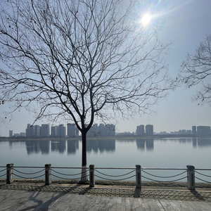 夏天里的武侠梦