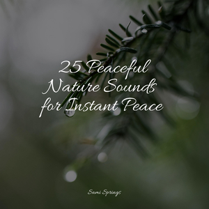 Wetland, Pond, Animals