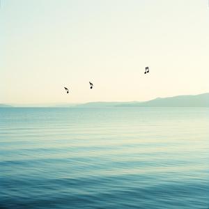 初夏のそよ風-250301-02 by @nia_japanese