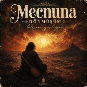 Mecnuna dönmüşüm bilmem gezdiğim