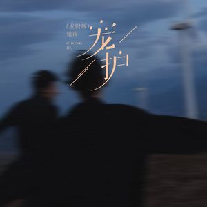 宠护（发财版）