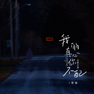 我的真心你不配 (DJ豪大大版)