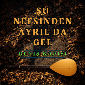 Şu Nefsinden Ayrıl Da Gel