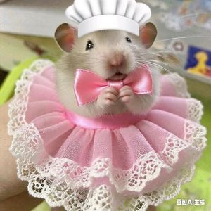 カニ研究会-爱你上海蟹（雪依酱 remix）