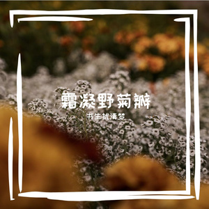 霜凝野菊瓣