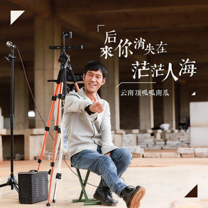 后来你消失在茫茫人海