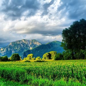 黑云翻墨未遮山 (7)