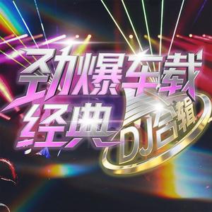惜别的海岸 (DJ九零版)