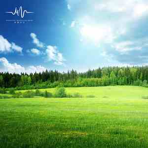 青笺画 (减压助眠)