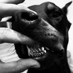BEAST (Dark Instrumental)