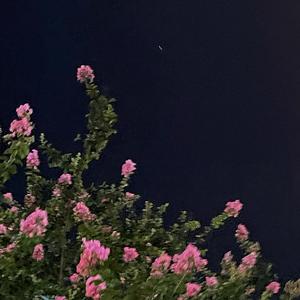 Letting go