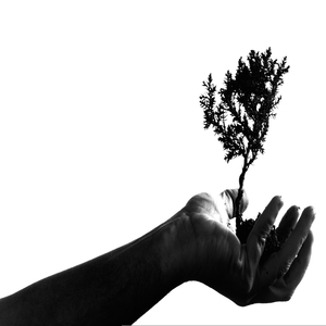 Solitary