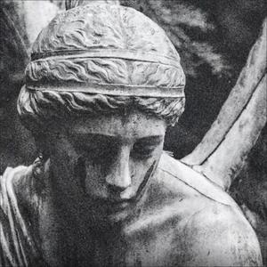 我这一生 如履薄冰