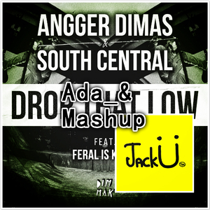 Drop That Low & Jungle Bae （Ada_& Mashup)