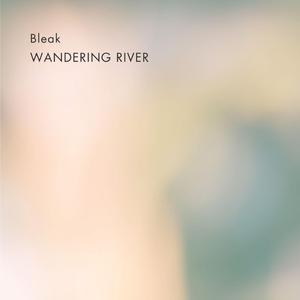 Bleak (Cello Version)