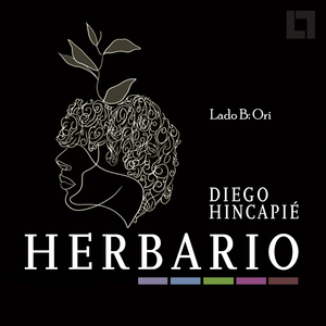 No Friego un Traste (Lado B: Ori)