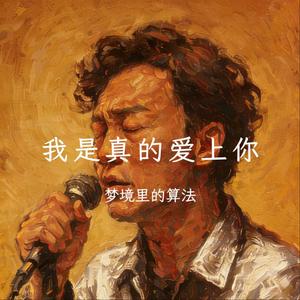 我是真的爱上你