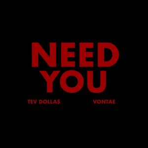 Need You (feat. Vontae)
