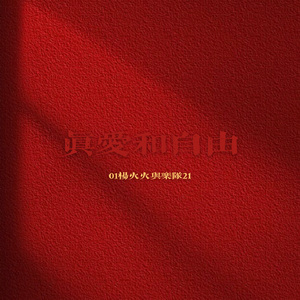 你都长大了（live）