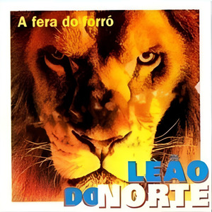 Não Devo Mais Ficar / Não Consigo Viver Sem Você / Se Você Me Quiser