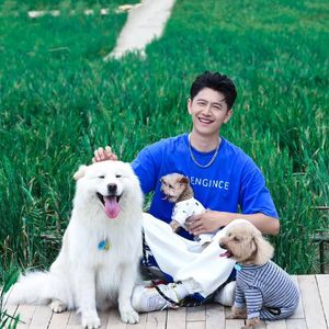 男孩（Cover 梁博） 伴奏