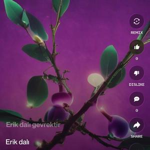 Erik dalı Anadolu (Aı Remix)