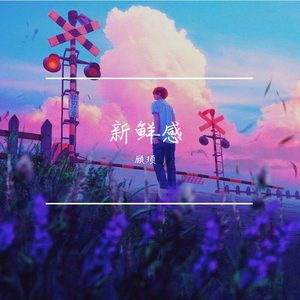 新鲜感