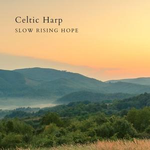 Danny Boy Arr. For Harp