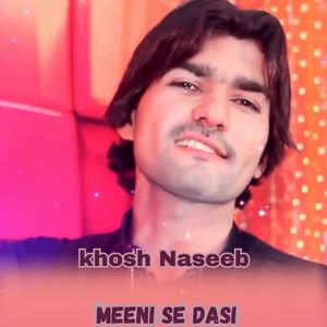 Meeni Se Dasi